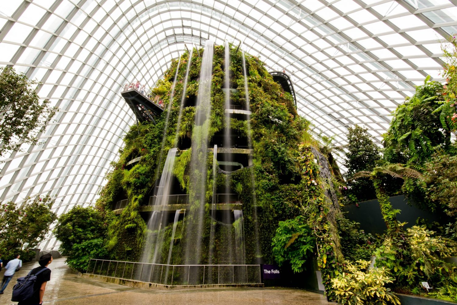 Singapore Gardens by the Bay - Find Amazing